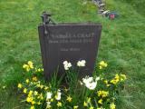 image of grave number 630147